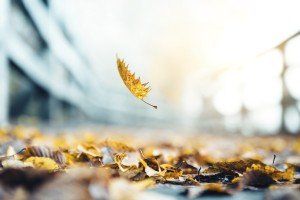 iStock_000070308759_Full