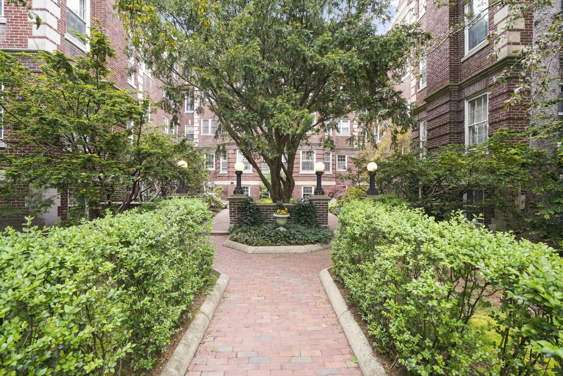 43 Linnaean Street #22A