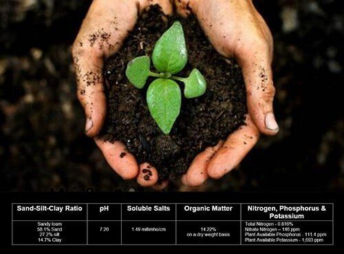 Quality Topsoil with Nutrients — Topsoil in Hanover, PA