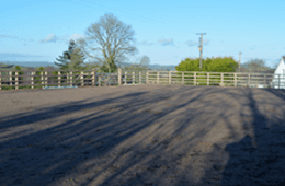 fence