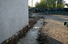 garden pathway