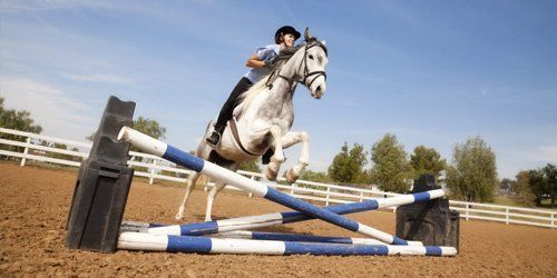 horse jumping