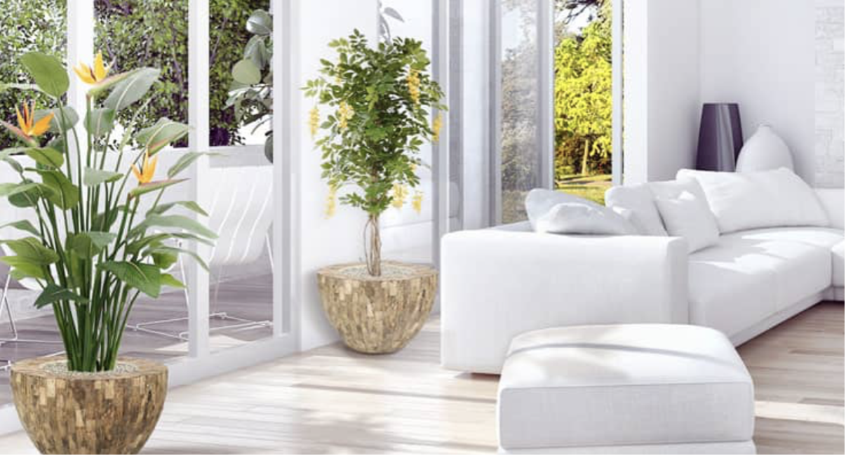 Kunstplanten van Maxifleur