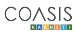 Logo for COASIS Kakheti, with colorful squares and gray text.