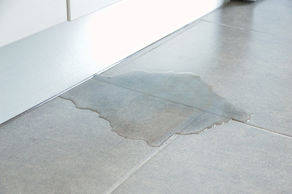 Mold Remediation — Close-up Photo Of Flooded Floor in Ipswich, MA Mold Remediation — Close-up Photo Of Flooded Floor in Ipswich, MA