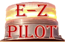 Pilot car system