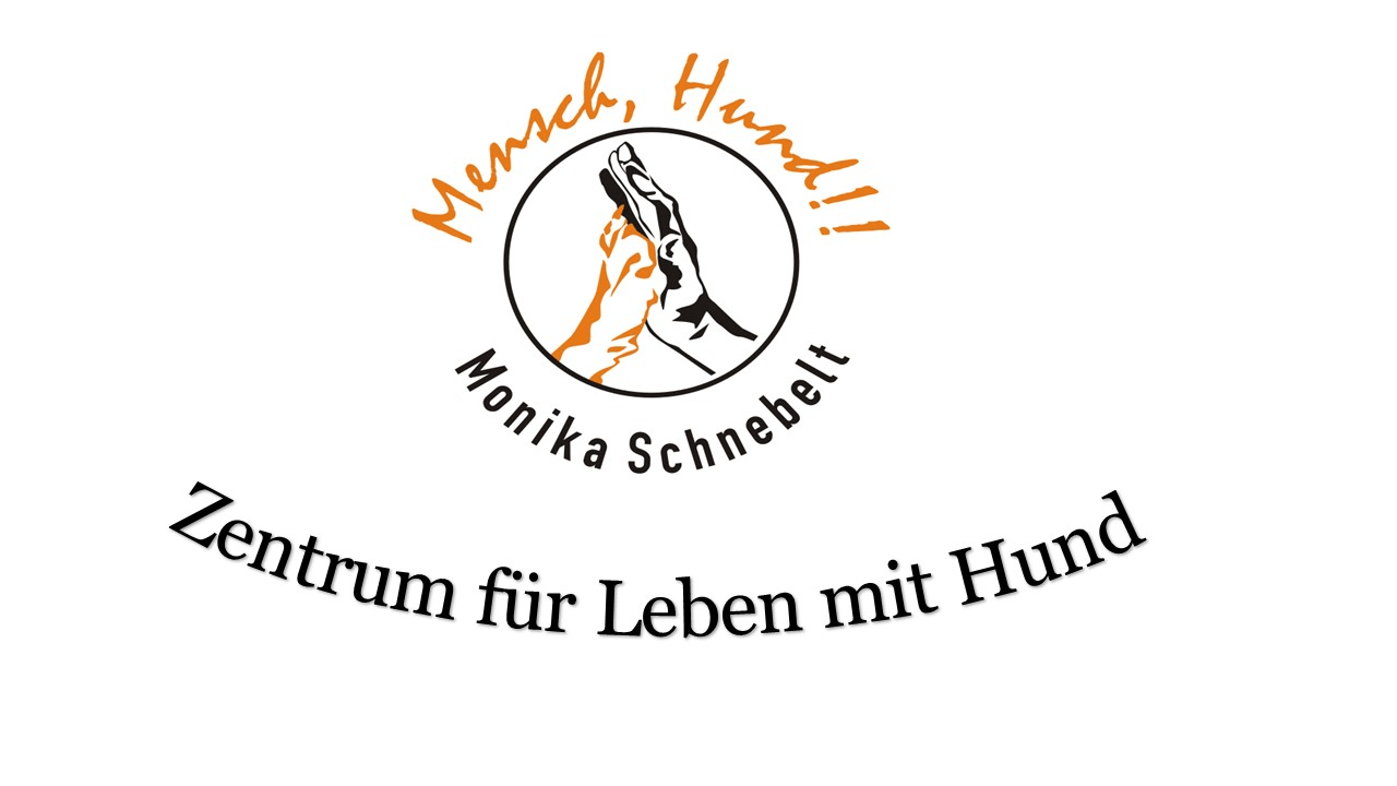 Hundeschule Offenburg, Hundeschule Lahr, Hundeschule  Kehl,