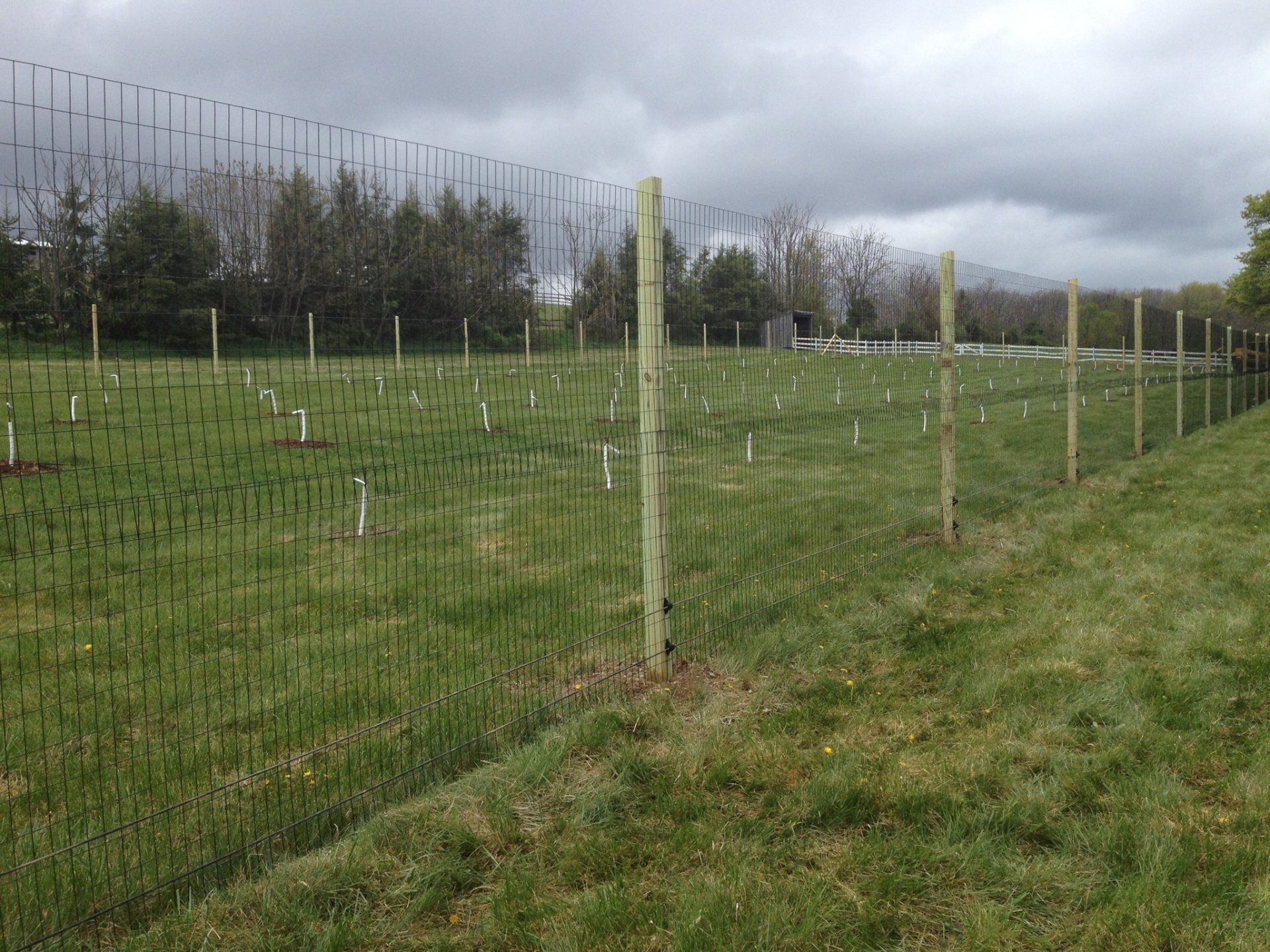 deer fence installers