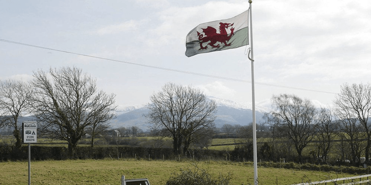 a flag with a red dragon on it is flying in the wind in a field .