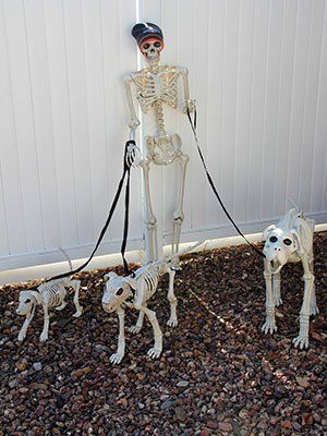 Skeleton image - a person walking the dogs