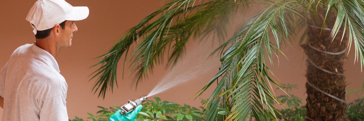 keira pest control technician high pressure spray keira pest control technician high pressure spray