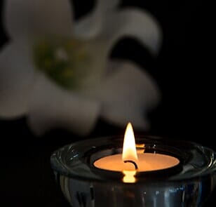 Urn with White Flower — Pet Cremation in Belleview, FL