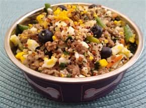 homemade beef dog food
