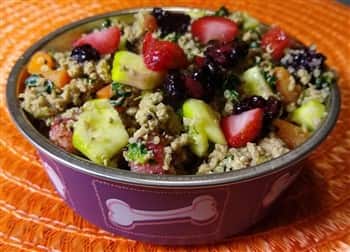 homemade turkey dog food
