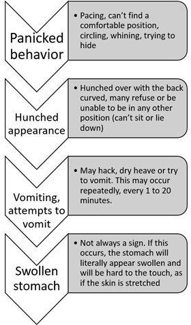 pug-dog-bloat-symptoms-chart-01