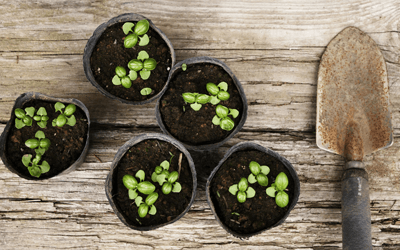 All kinds of cultivation equipment