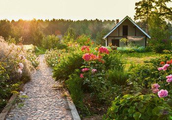 Garden plants