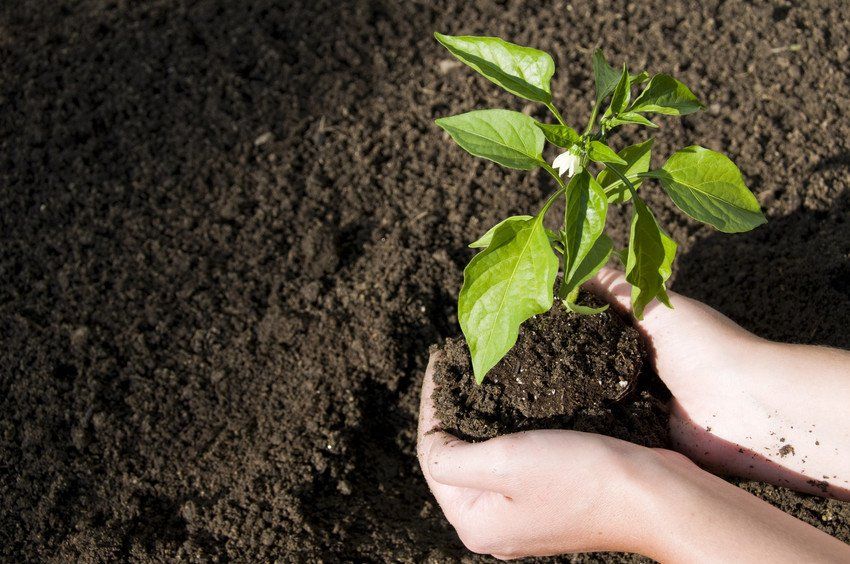 Agricultural and landscaping supplies
