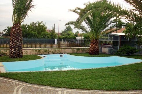 Piscina con palme