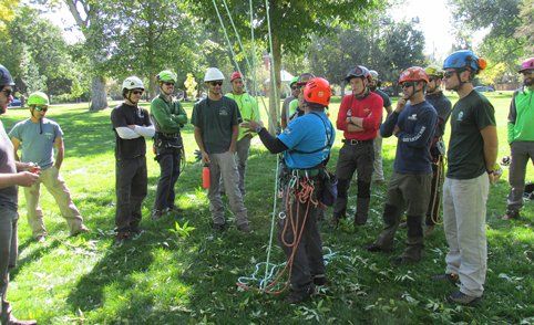 Tree workers taking an on-site ArborMaster tree climbing class Tree Climbing Class