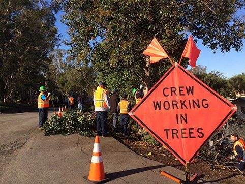 City of Huntington Beach Chainsaw training