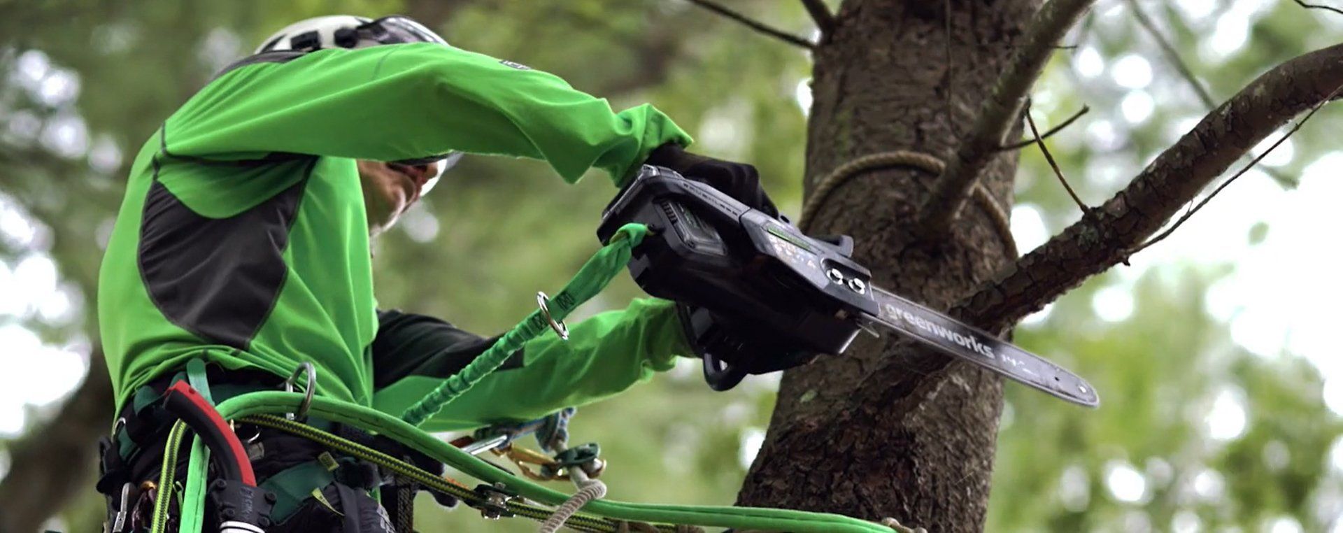 Greenworks partners with famed arborist – Ken Palmer