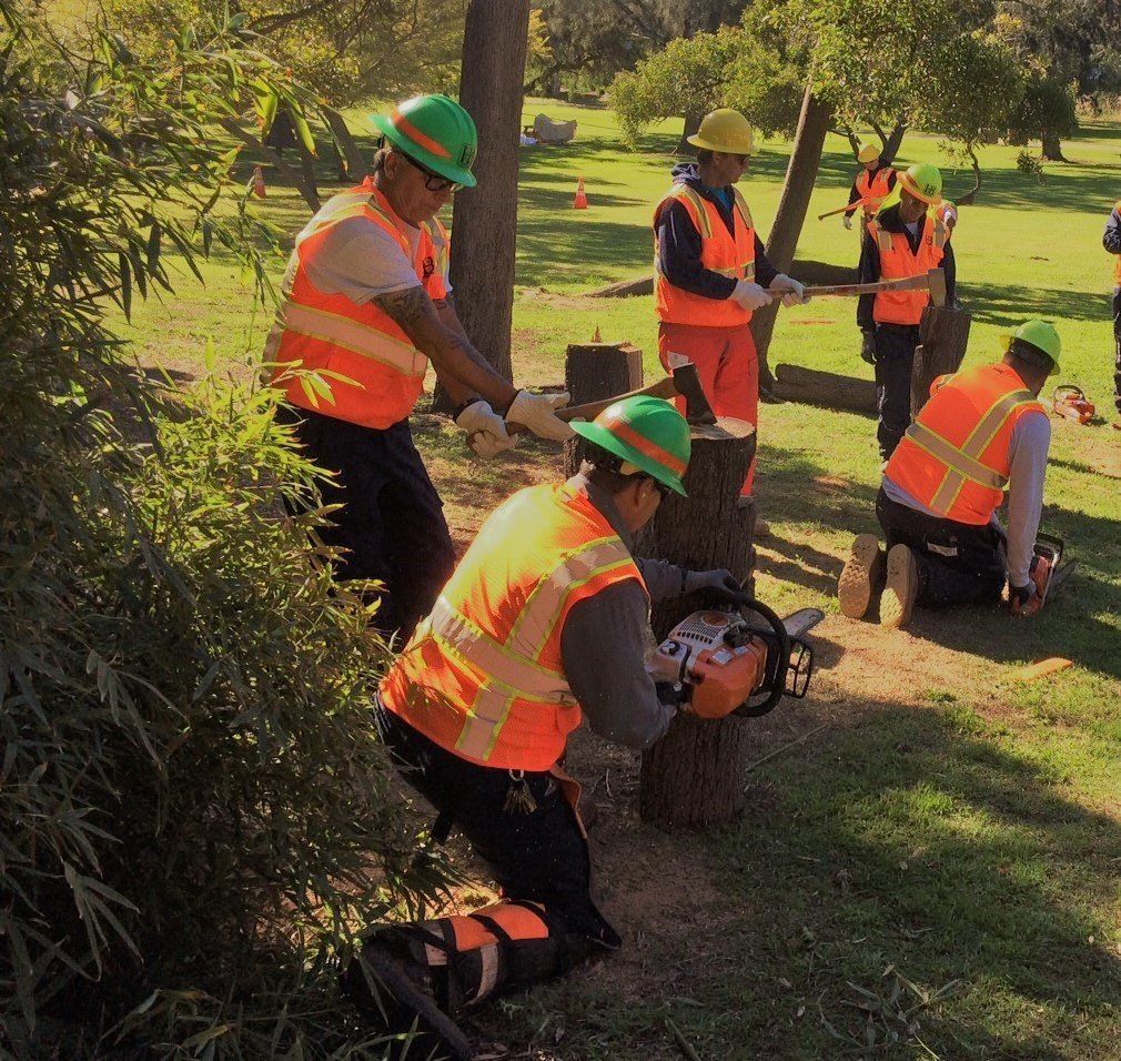 City of Huntington Beach Chainsaw training