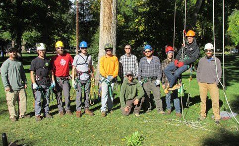 ArborMaster conducting an on-site tree climbing trainingn class Tree Climbing Training Class