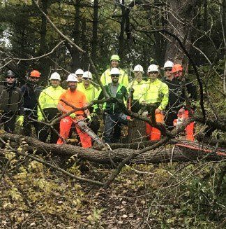 Student testimonials from an ArborMaster on-site training class Student Testimonial from ArborMaster Training