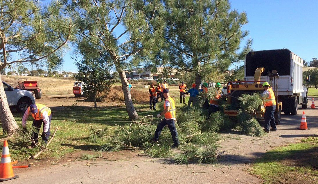 4 Crucial Elements To Creating A Safer, More Efficient Jobsite for Arborists