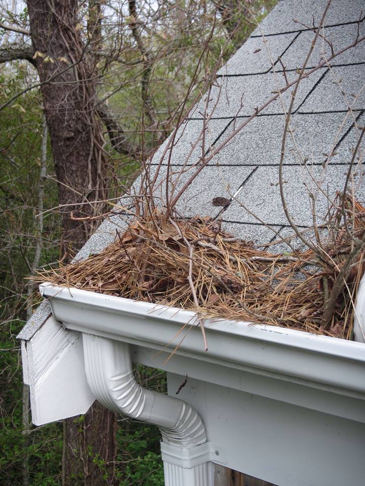 Cape Cod gutter cleaning