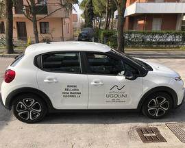 macchina con modello-PEUGEOT 208