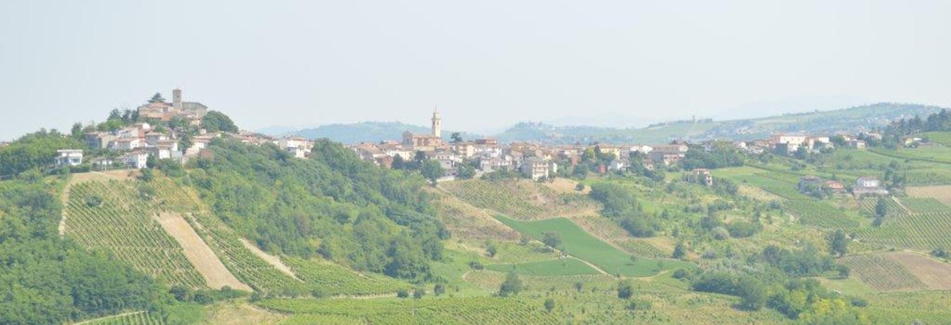 AZIENDA AGRICOLA AL COLLE VENDITA VINI