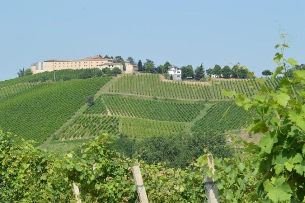 azienda agricola brega