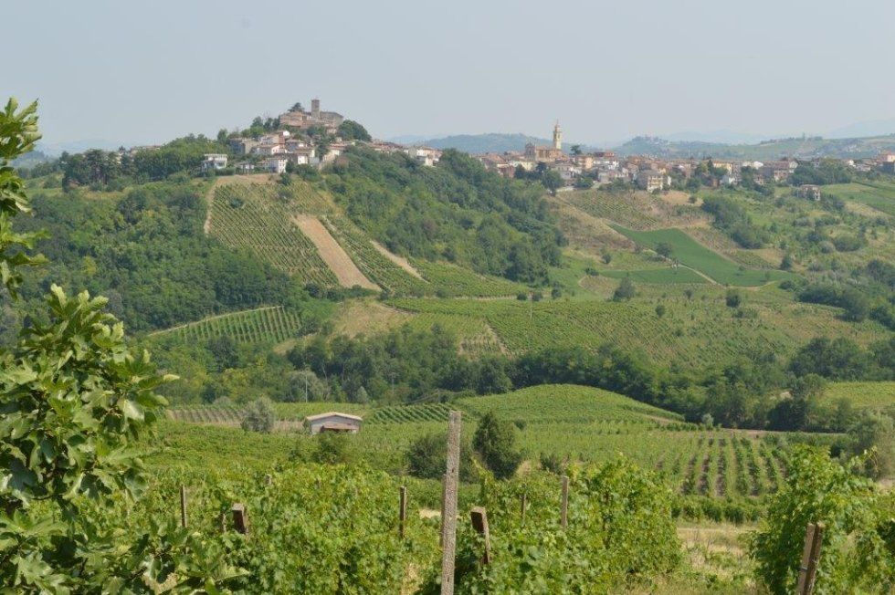azienda agricola