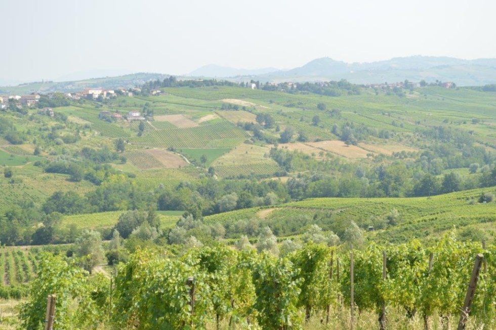 azienda agricola brega