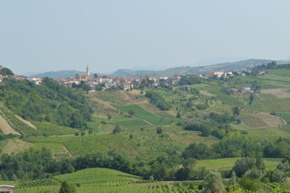 vini spumanti