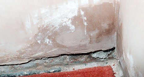 home damp proofing