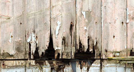 wood work damp proofing