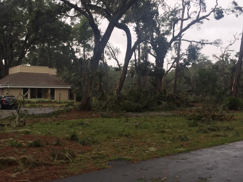 Fallen Tree After Storm — Savannah, GA — Waters Tree Service