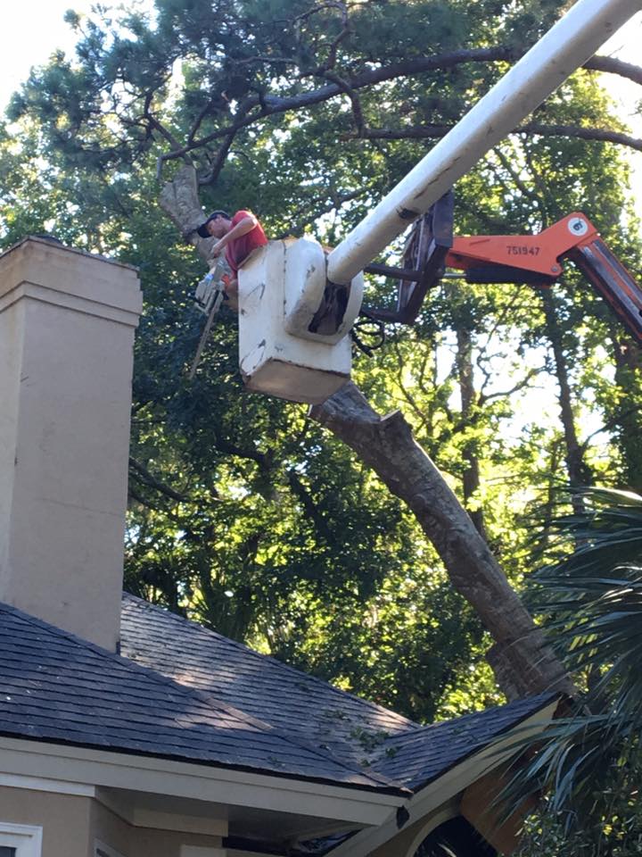 Man on a Bucket Truck — Savannah, GA — Waters Tree Service