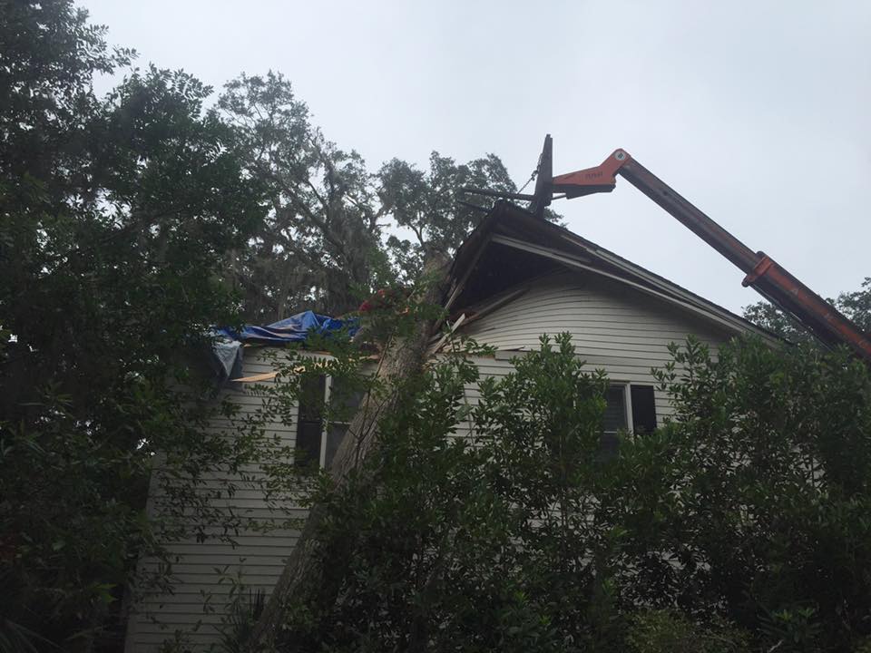 Large Forklift Truck — Savannah, GA — Waters Tree Service