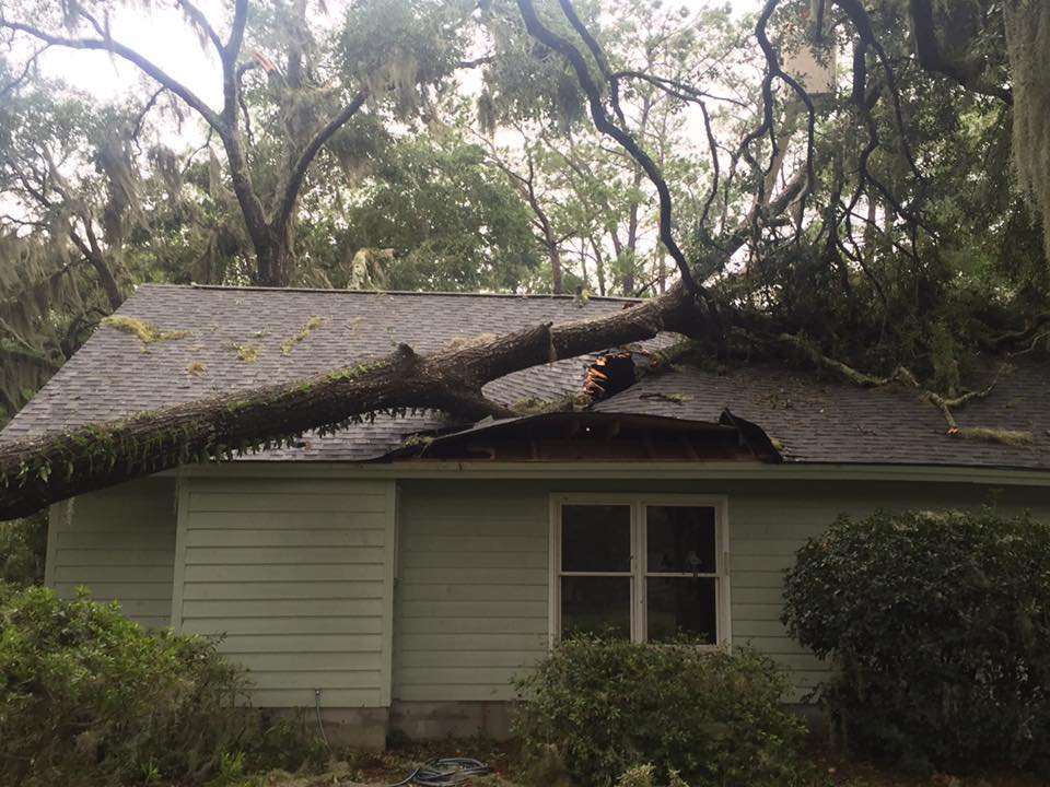 Oak Tree Fell on a House — Savannah, GA — Waters Tree Service