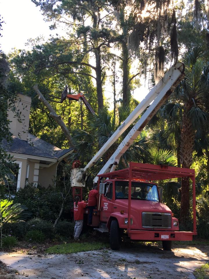 Tree Removal Equipment — Savannah, GA — Waters Tree Service