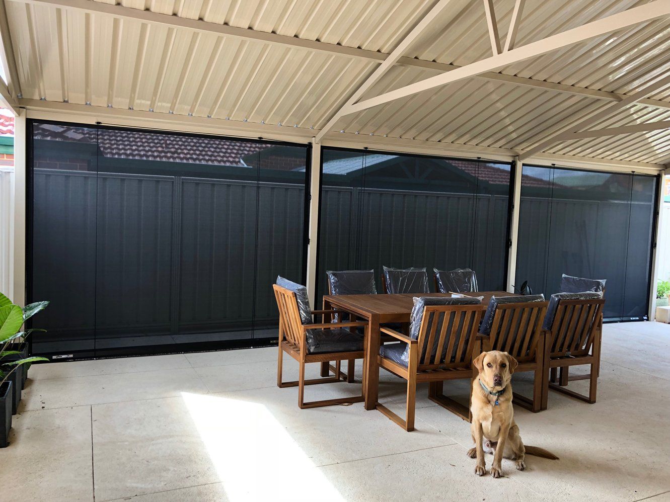 thomlie rope and pulley blind