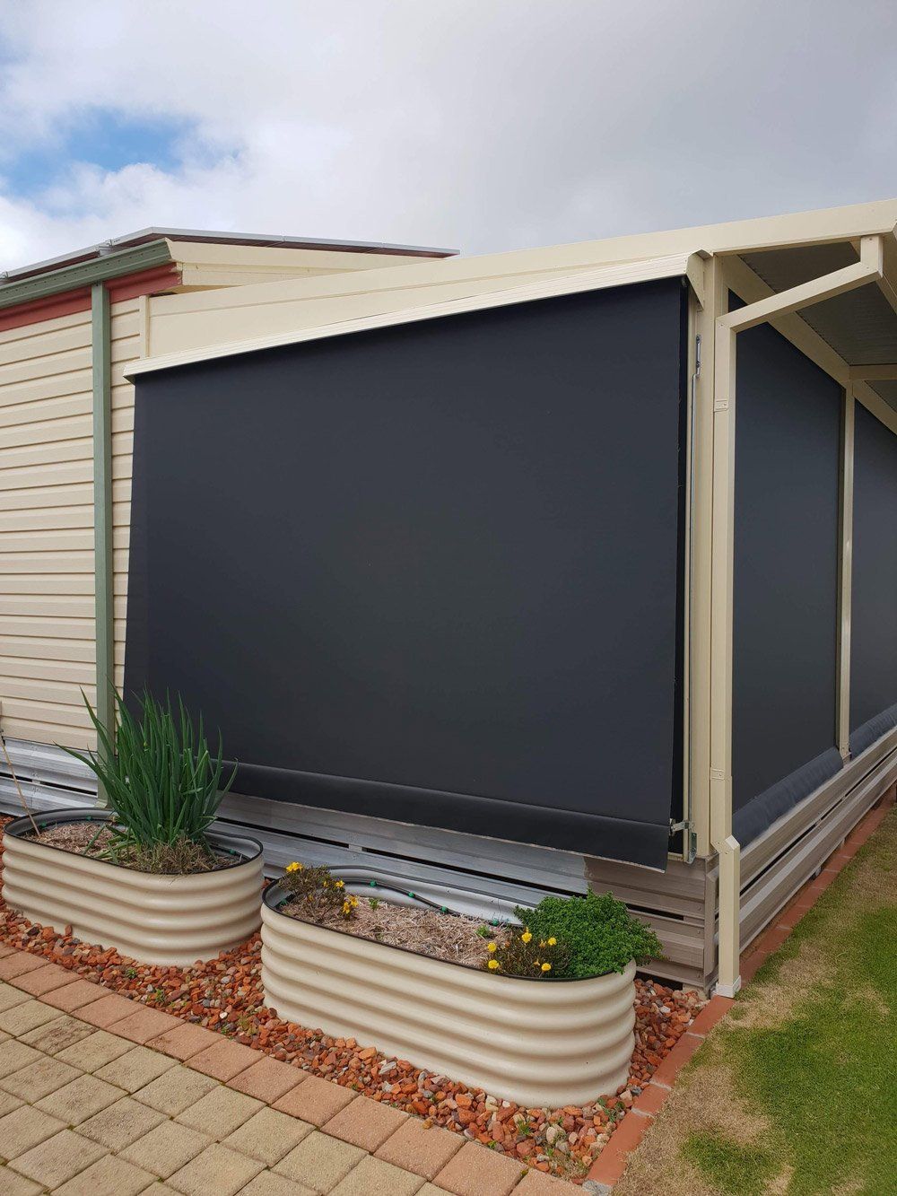 black auto roll blinds
