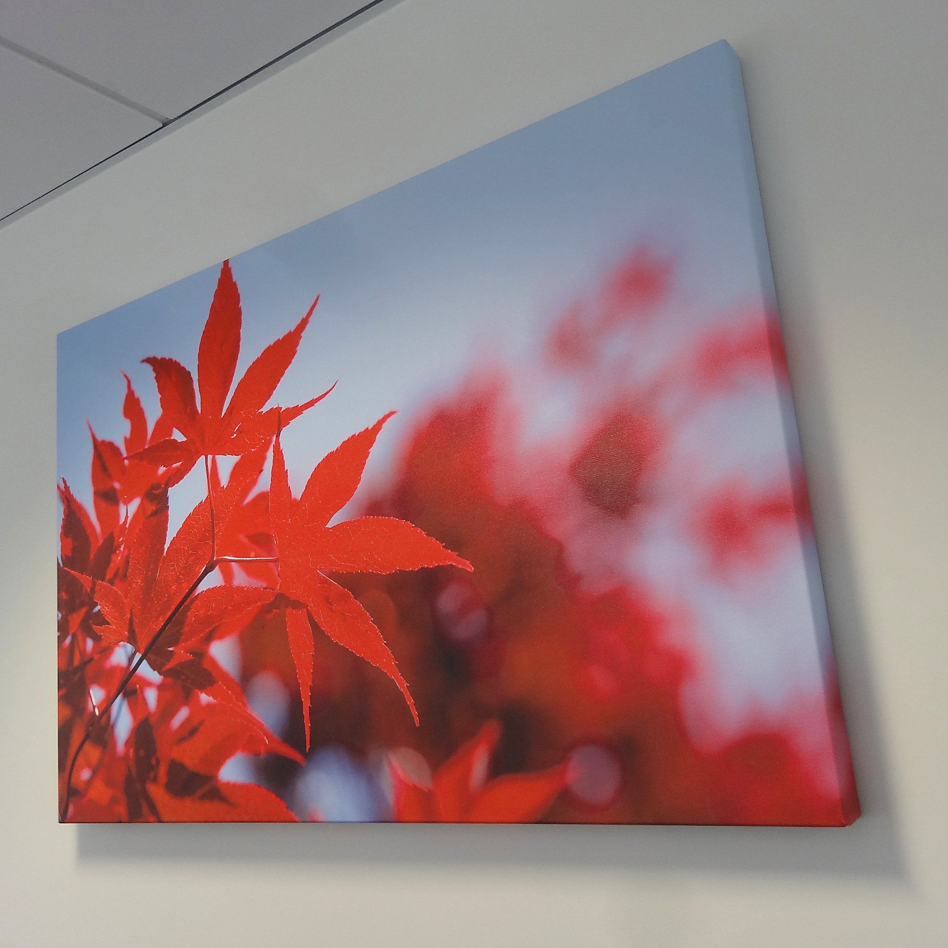 Canvas Frames