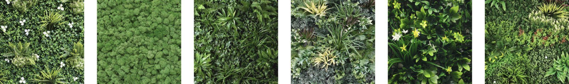 Artificial Living Green Wall Options