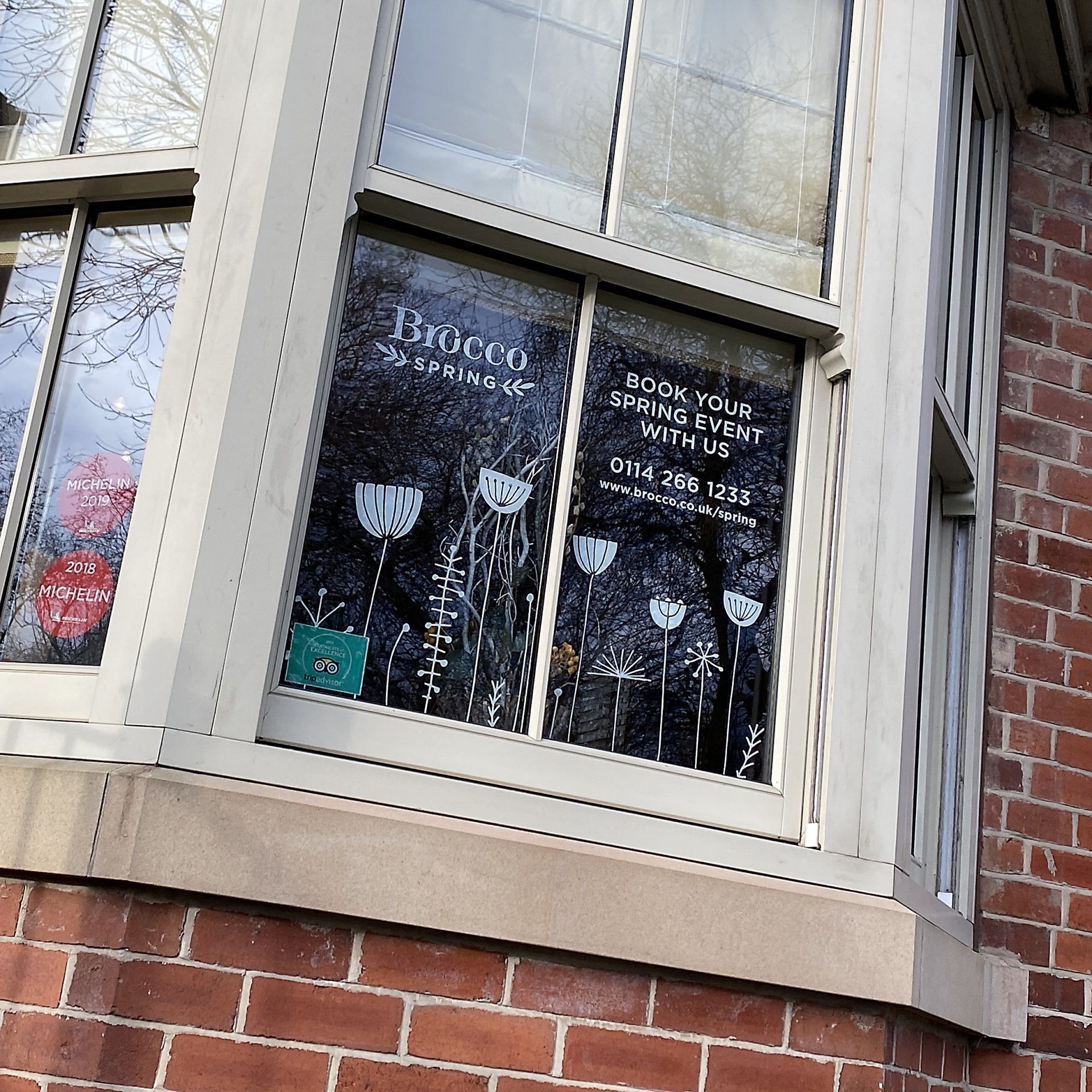 Window Decals