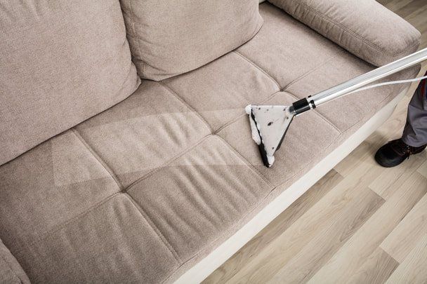 Upholstery couch being steam cleaned
